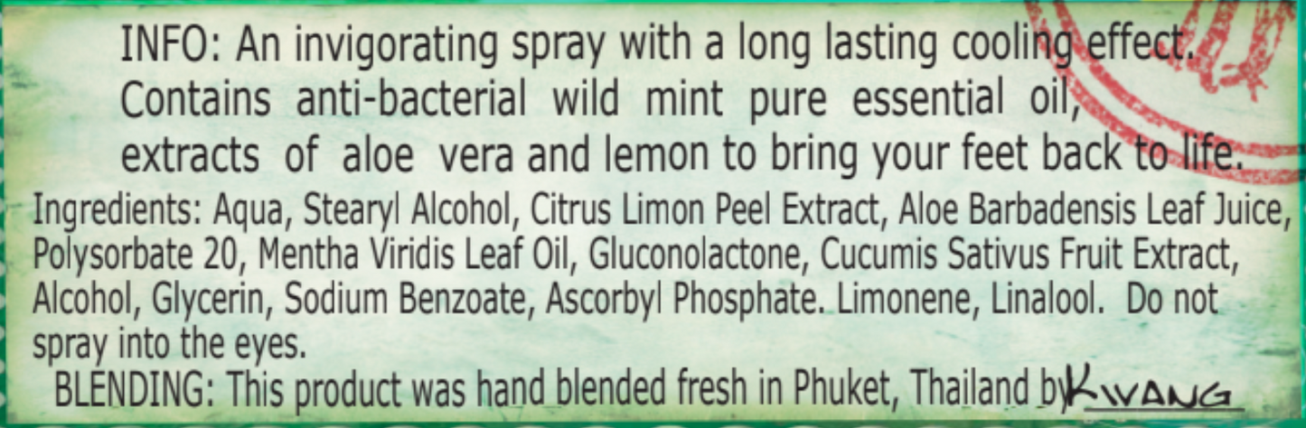 Wild Mint Foot Spray