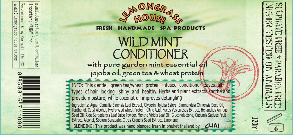 Wild Mint Conditioner